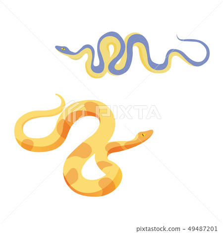 two cartoon vector exotic snakes reptile isolated 49487201
