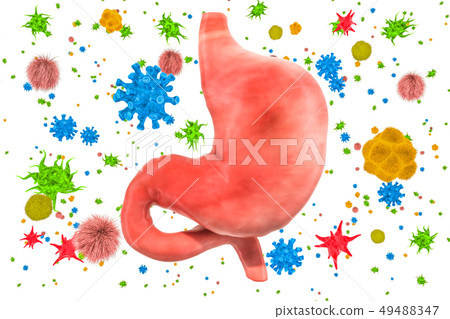 Stomach with viruses and bacteria. Stomach disease 49488347
