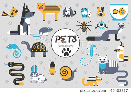 Pets flat illustration concept. Pets flat illustration concept. 49488817