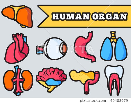 Thin lines style human organs set icons concept. 49488979