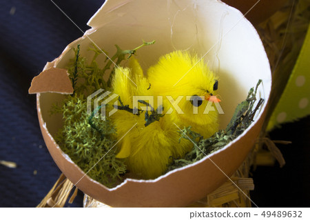 Chicken in the egg. Hatched. Egg. Easter. Chicken in the egg. Hatched. Egg. Easter. 49489632