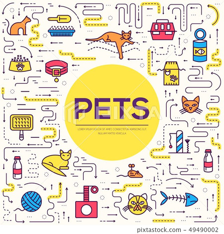 Vector thin line breed cats icons set.  49490002