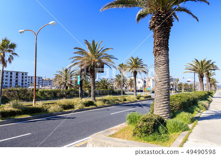 Mahibori海岸 49490598