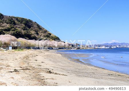 自來水海岸 49490813