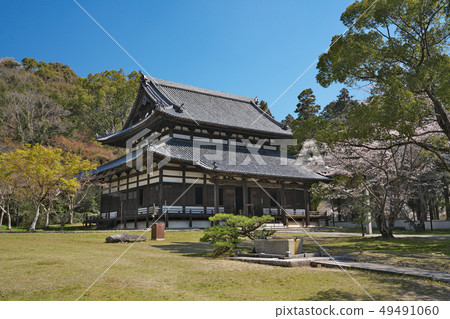 [Negoroji Daidenhodo] 2286 Negoro, Iwade City, Wakayama Prefecture 49491060