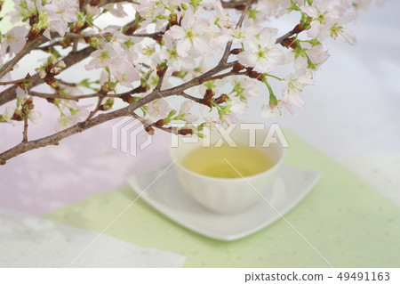 櫻花和Sencha 櫻花和Sencha 49491163