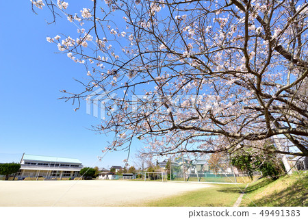 Former Amakusa City Shimako Elementary School Omajima, Amakusa-shi, Kumamoto Pref. 49491383
