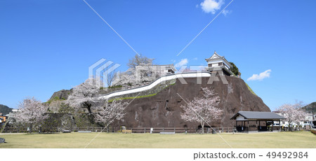 臼杵城堡的痕跡和櫻花 臼杵城堡的痕跡和櫻花 49492984