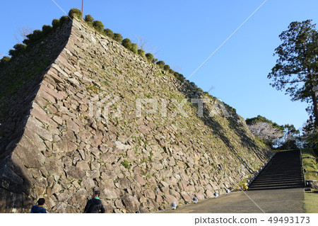 延岡城和櫻花 延岡城和櫻花 49493173