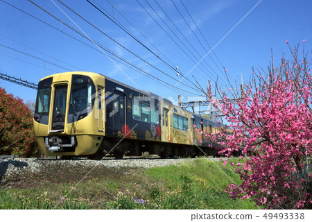 西鐵柳川觀光列車“水城” 西鐵柳川觀光列車“水城” 49493338