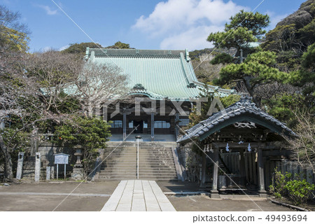 Ryukuji Temple Main Hall and Temizusha (Fatagawa City Katase) 49493694