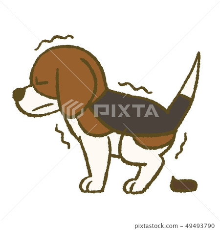 Illustration of a pissed dog (Beagle) Illustration of a pissed dog (Beagle) 49493790