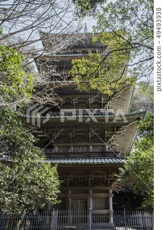 Ryugoku-ji寺的五層塔（藤澤市片瀨） 49493938