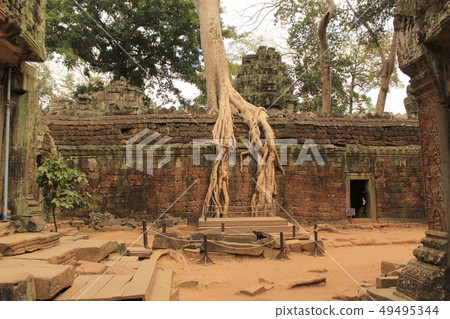 Ta Prohm_2 49495344