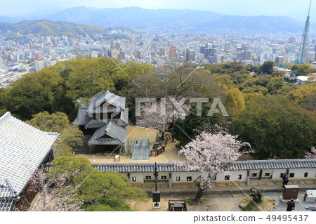 松山市(Matsuyama Castle Tenshu)VIII 松山市(Matsuyama Castle Tenshu)VIII 49495437