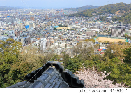松山市(松山城Tenshu)VI 松山市(松山城Tenshu)VI 49495441