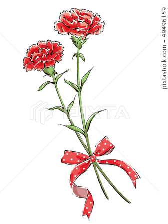 Illustration 1: Carnation 49496159