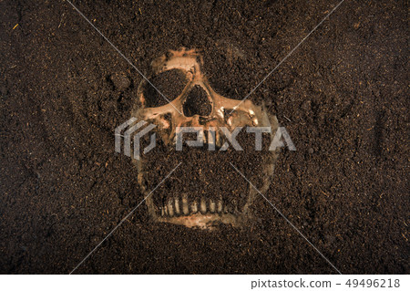 skull buried in the ground skull buried in the ground 49496218