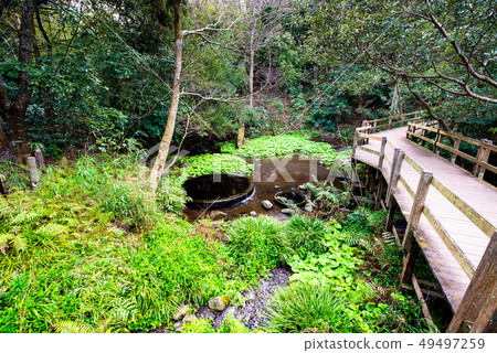 靜岡縣Shibatagawa Yusui Park走道和井的痕跡 靜岡縣Shibatagawa Yusui Park走道和井的痕跡 49497259