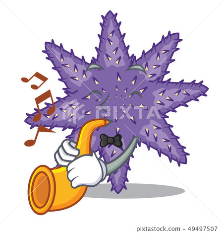 With trumpet purple starfish in the character shape With trumpet purple starfish in the character shape 49497507