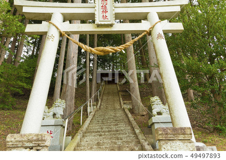 春天小島鐵路漢宇神社 春天小島鐵路漢宇神社 49497893