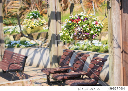 North pole flowers North pole flowers 49497964