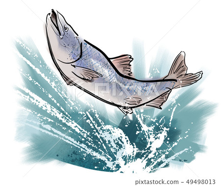 Upstream of salmon 49498013