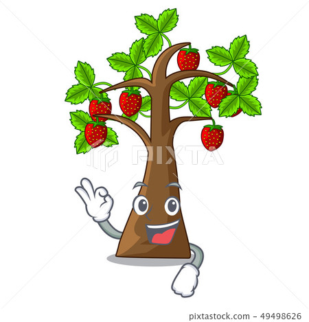Okay strawberry tree in the mascot pots 49498626