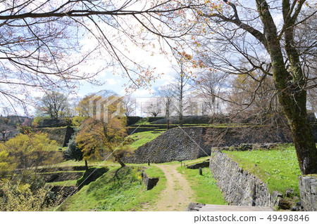 臼杵城堡的痕跡和櫻花 49498846