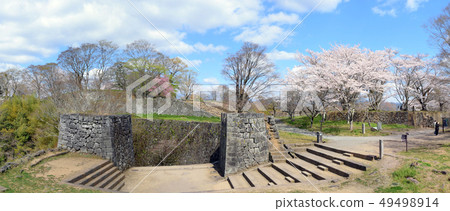 臼杵城堡的痕跡和櫻花 49498914