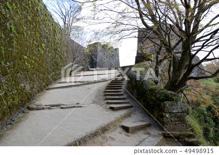 臼杵城堡的痕跡和櫻花 49498915