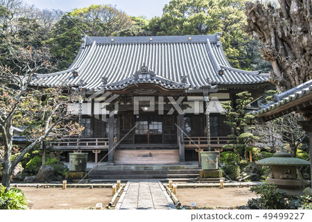 Honrenji main hall (Fujisawa city Katase) 49499227