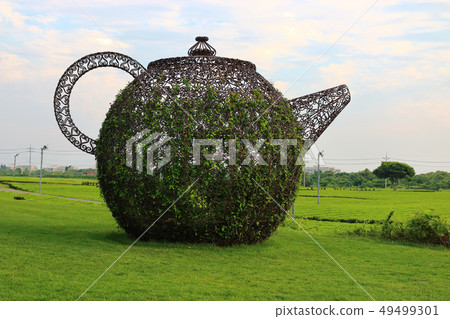 Oysterock, green tea field, tea tree, Oysterock, green tea field, tea tree, 49499301
