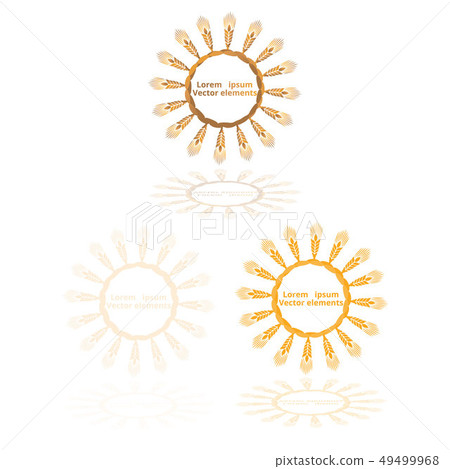 Wheat ears, oats or barley three vector Wheat ears, oats or barley three vector 49499968