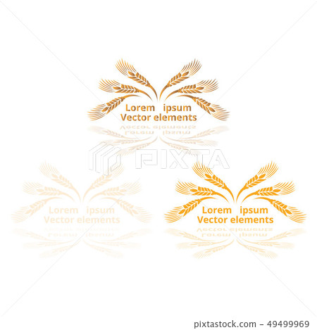 Wheat ears, oats or barley three vector Wheat ears, oats or barley three vector 49499969
