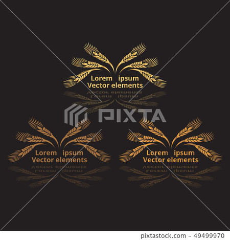 Wheat ears, oats or barley three vector Wheat ears, oats or barley three vector 49499970