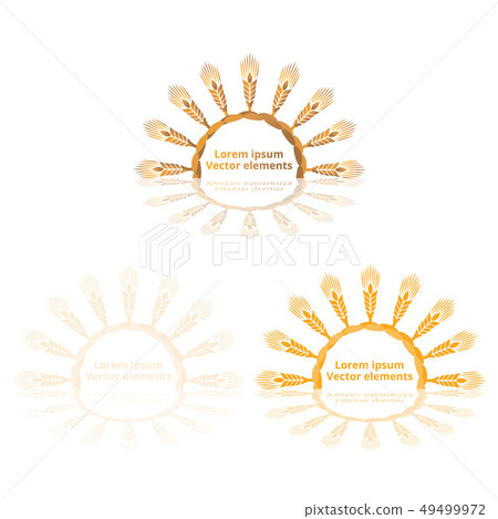 Wheat ears, oats or barley three vector Wheat ears, oats or barley three vector 49499972