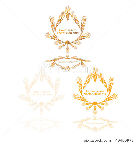 Wheat ears, oats or barley three vector Wheat ears, oats or barley three vector 49499973