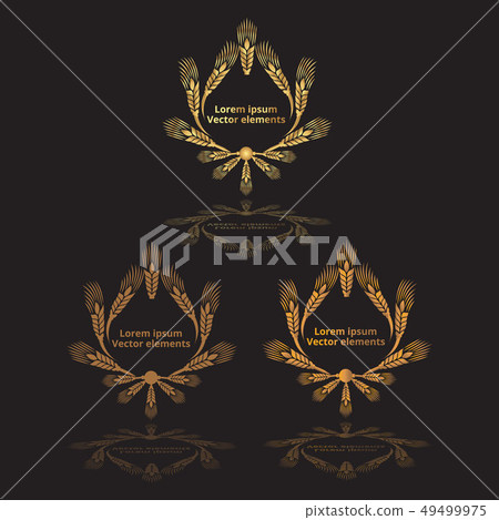 Wheat ears, oats or barley three vector Wheat ears, oats or barley three vector 49499975