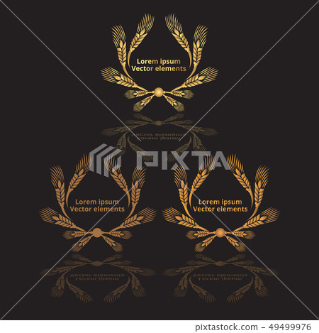 Wheat ears, oats or barley three vector Wheat ears, oats or barley three vector 49499976