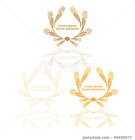 Wheat ears, oats or barley three vector Wheat ears, oats or barley three vector 49499977