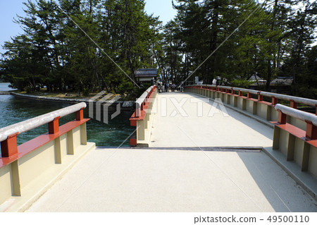 Miyazu spring Amanohashidate circular bridge Miyazu spring Amanohashidate circular bridge 49500110