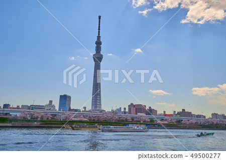 從東京台東區Imadou第一街附近看對面的Mukojima地區 從東京台東區Imadou第一街附近看對面的Mukojima地區 49500277