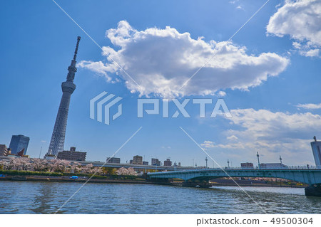 從東京都台東區淺草7丁目的墨田區公園觀賞公園橋的方向 49500304