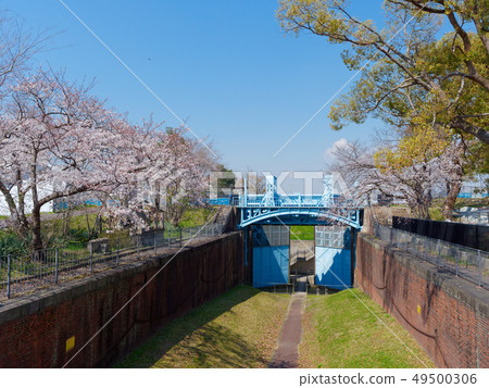 Osaka's Mema-no-Komon (Former First Xiamen-Important Cultural Property) 49500306