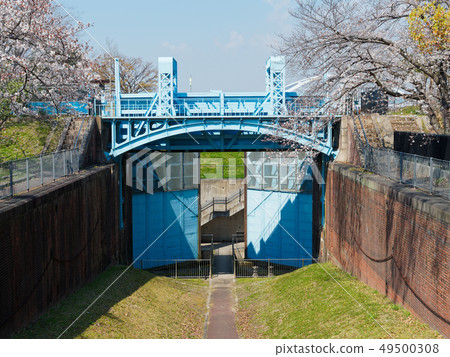Osaka's Mema-no-Komon (Former First Xiamen-Important Cultural Property) 49500308