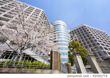 Meidai Hospital (Nagoya University School of Medicine Hospital) and Sakura Meidai Hospital (Nagoya University School of Medicine Hospital) and Sakura 49500774