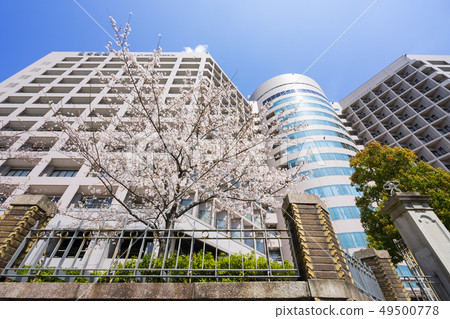 Meidai Hospital (Nagoya University School of Medicine Hospital) and Sakura 49500778