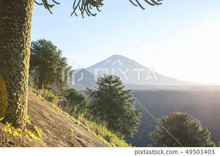 Chile landscape 49501403