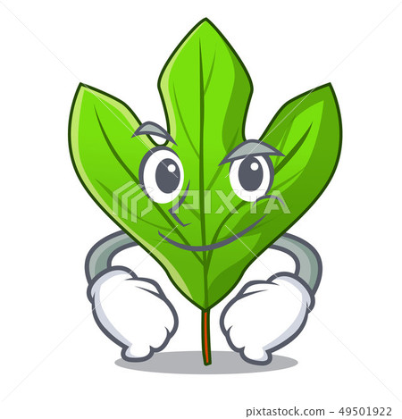Smirking sassafras leaf in the cartoon stem Smirking sassafras leaf in the cartoon stem 49501922